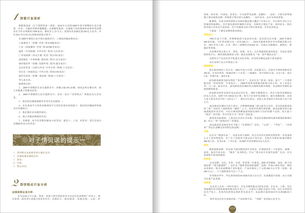 子情贝诺品牌营销策划方案