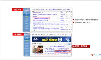 从渠道到情感 全链路宠物食品品牌营销推广策略
